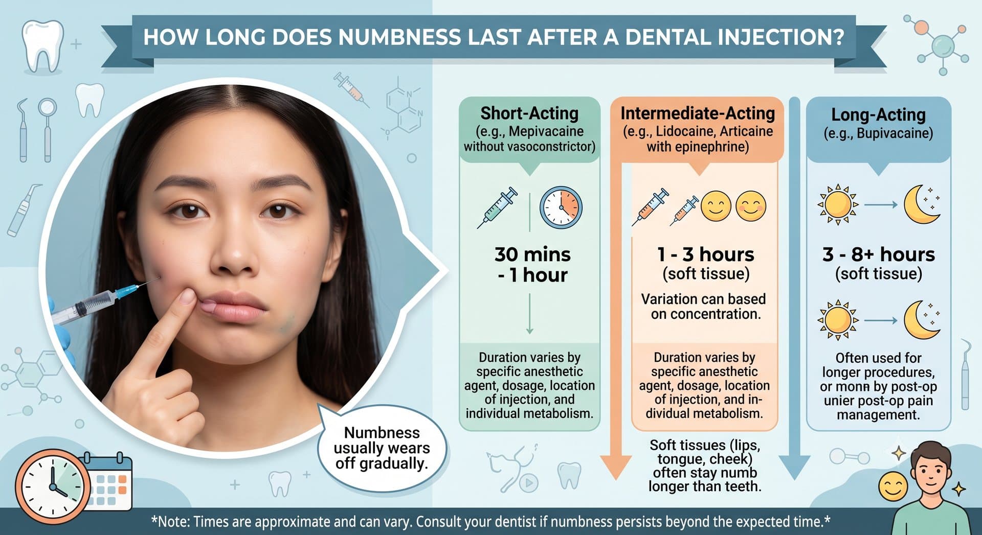 A dental infographic titled "How Long Does Numbness Last After a Dental Injection?" On the left, an illustration depicts a patient touching their cheek and lip after a local anesthetic injection, with a speech bubble noting that numbness wears off gradually. The right side features three comparative columns: Short-Acting: (e.g., Mepivacaine without vasoconstrictor) lasting 30 minutes to 1 hour. Intermediate-Acting: (e.g., Lidocaine, Articaine with epinephrine) lasting 1 to 3 hours in soft tissues. Long-Acting: (e.g., Bupivacaine) lasting 3 to 8+ hours, primarily used for longer procedures or post-operative pain management. A bottom footnote reminds patients that duration varies by dosage, injection site, and metabolism, advising them to consult a dentist if numbness persists.